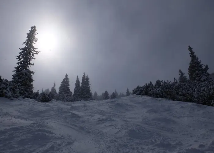 Apartments, Iglika 2 Appartement *